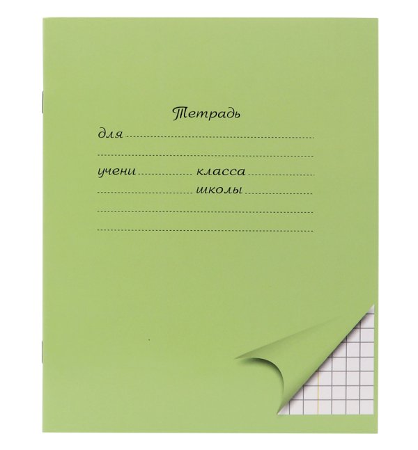 Тетрадь школьная ПандаРог, А5, 24 листа, клетка, мелованный картон, зеленая