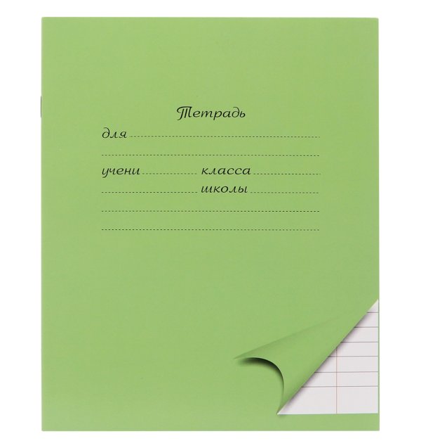 Тетрадь школьная ПандаРог, А5, 18 листов, линейка, мелованный картон, зеленая