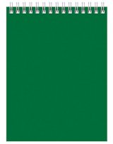 Блокнот BG Для конференций, А6, 60 листов, на гребне, зеленый