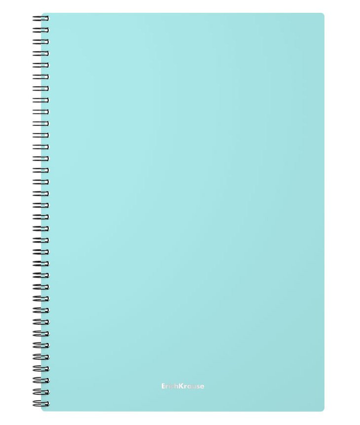 Бизнес-тетрадь ErichKrause Pastel Mint, A4, 80 листов, пластиковая обложка, на спирали, клетка