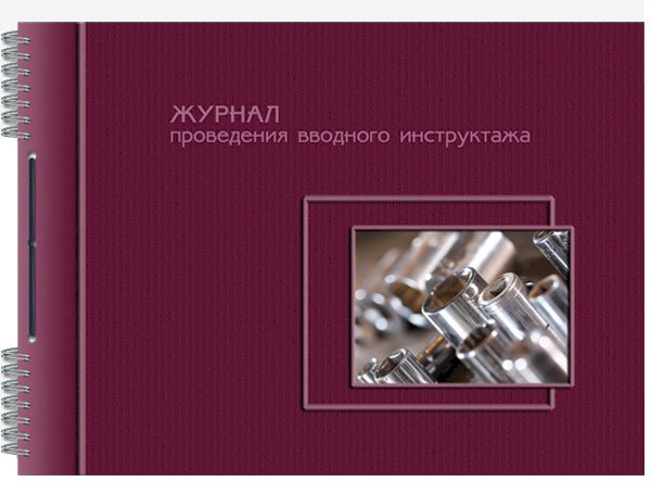 Журнал проведения вводного инструктажа А4, 50 листов, 65 г/м2, на гребне, шнуровка