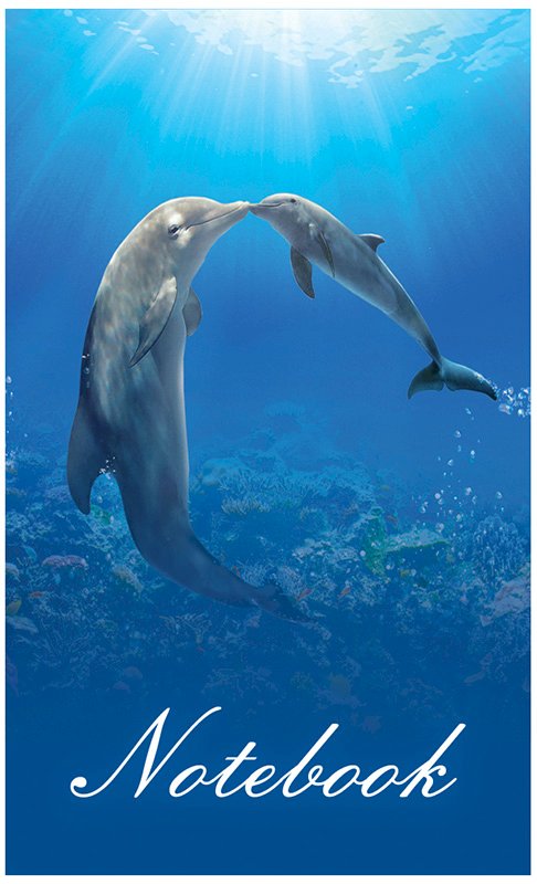 Блокнот Dolphins Story, А6, 40 листов, клетка, гребень - фото №1
