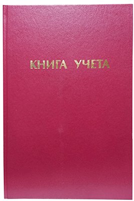 Книга учета бумвинил, А4, 96 листов, газетка, линейка