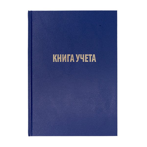 Книга учета Workmate, А4, 192 листа, клетка, бумвинил, блок офсетный, синяя