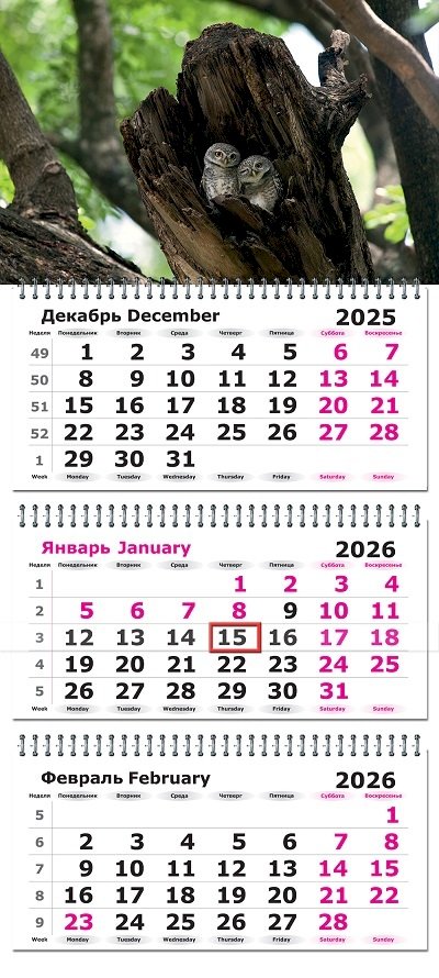 Календарь 2026 квартальный Совушки, 3 блока на 3 гребнях, с бегунком